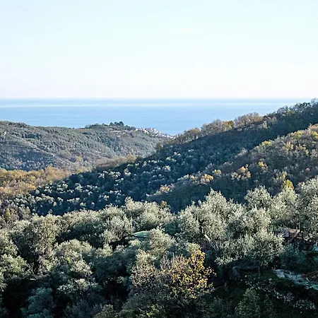 Paola By Interhome Holiday home Pantasina